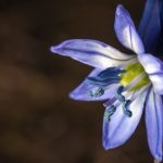 Yirmi Altıncı Sözden