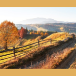 İkindi Serinliği…