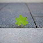 Bir Ümit ve Onarım Hasbihali