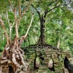 Dünyayı Kalben Terketmek