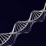 Evrim Teorisi Hakkında Rapor Özeti