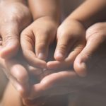 Dâr-ül-Hikmet-il-İslâmiye’nin (1918-1922) Memleket Gençliği Hakkında Beyannamesi: