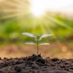 İmanın Hakikatiyle İlgili Alkame Hadisi