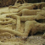 EMR-İ Bİ’L-MARUF VE NEHY-İ ANİ’L-MÜNKERİN FARZ OLMASI